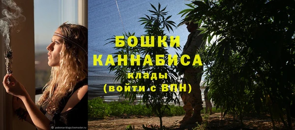 шишки Волоколамск