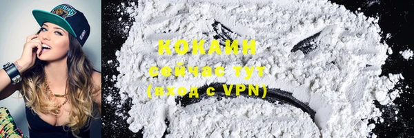 шишки Волоколамск