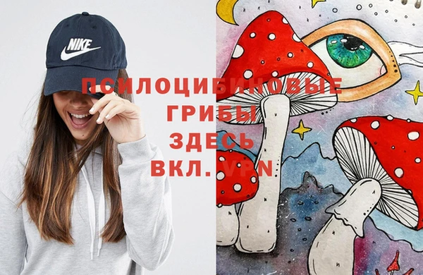 шишки Волоколамск